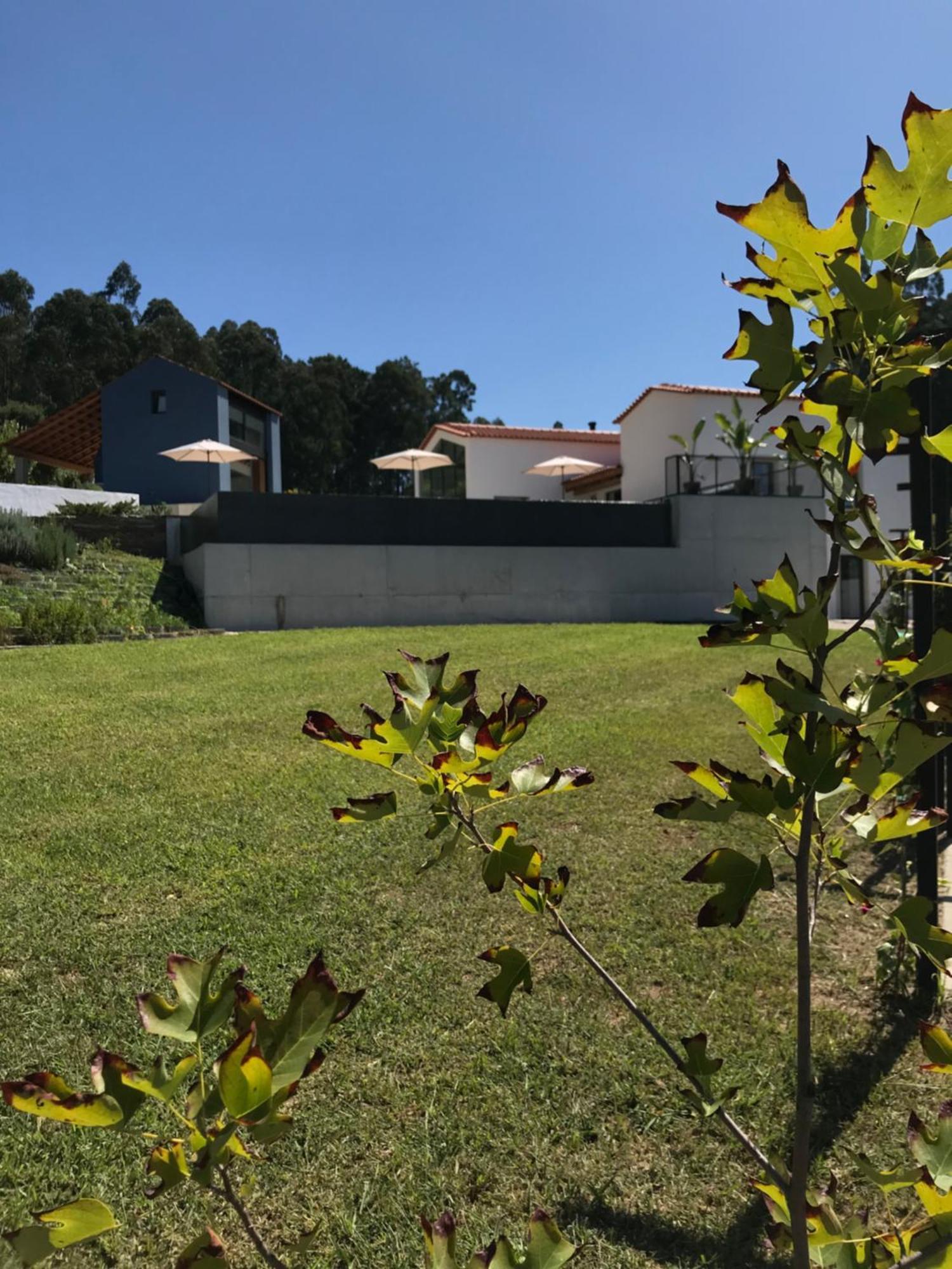 Casa Da Milheira - Agroturismo Oliveira de Azemeis Buitenkant foto