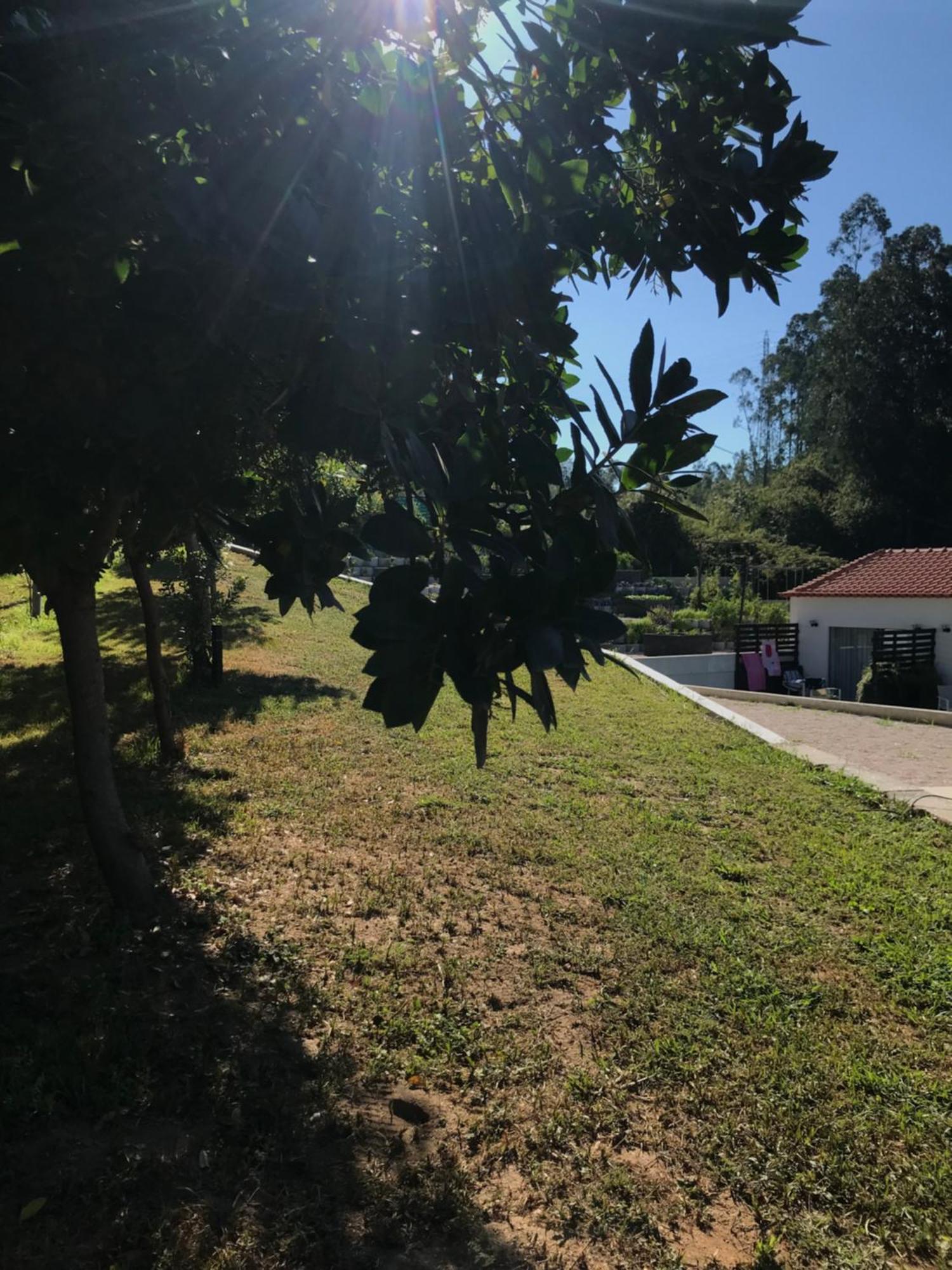 Casa Da Milheira - Agroturismo Oliveira de Azemeis Buitenkant foto