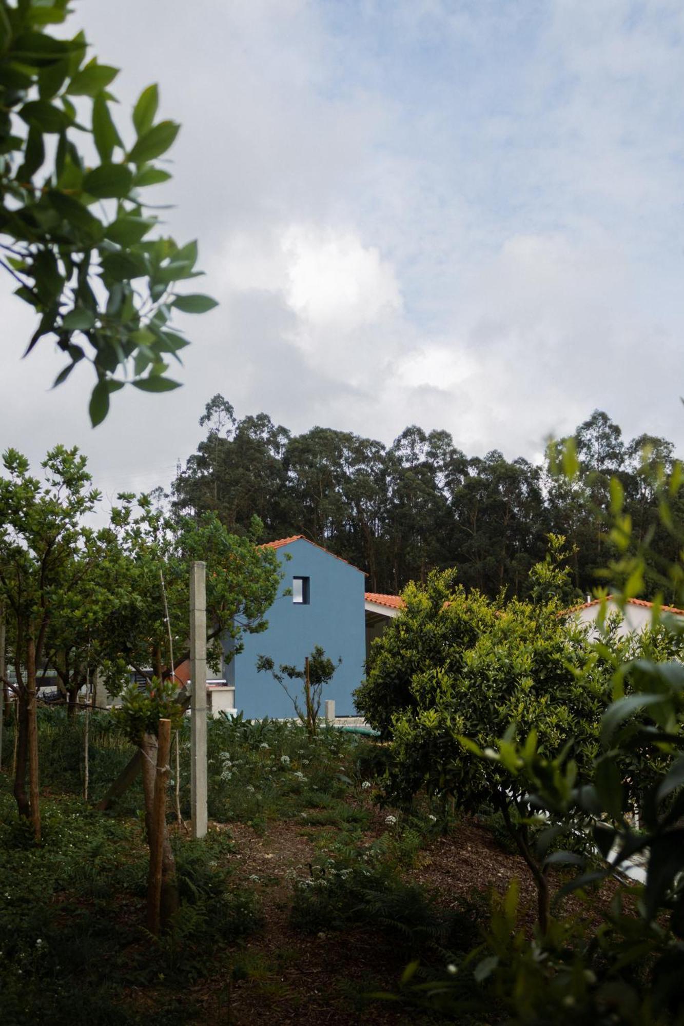 Casa Da Milheira - Agroturismo Oliveira de Azemeis Buitenkant foto