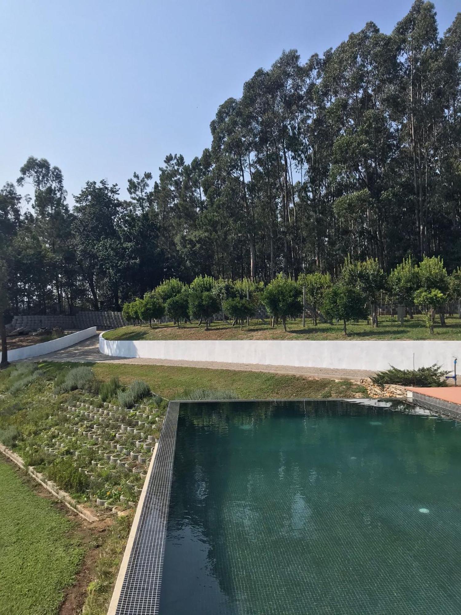 Casa Da Milheira - Agroturismo Oliveira de Azemeis Buitenkant foto
