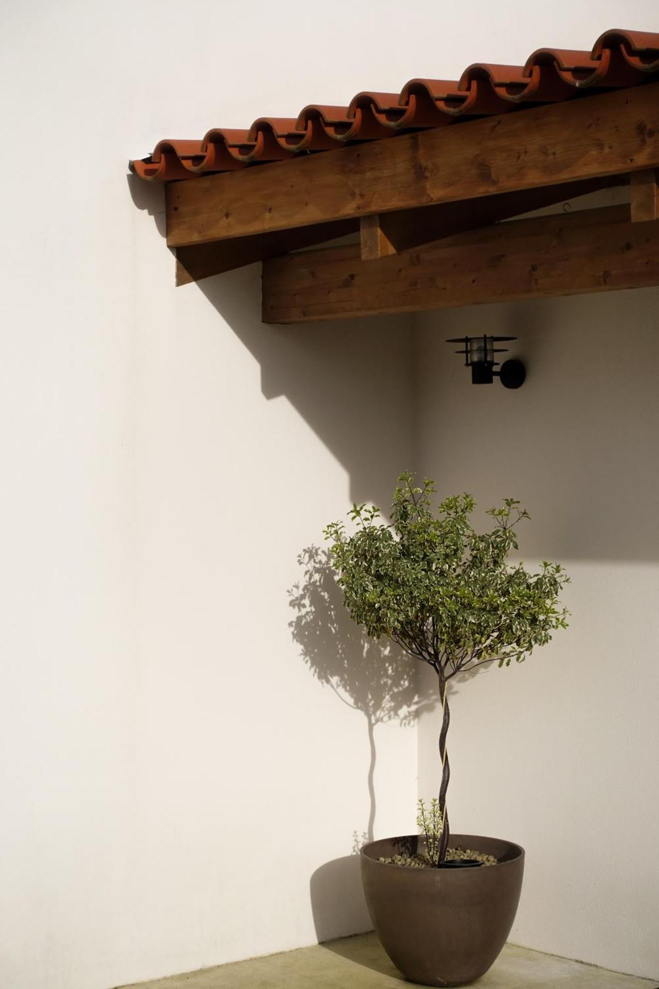 Casa Da Milheira - Agroturismo Oliveira de Azemeis Buitenkant foto