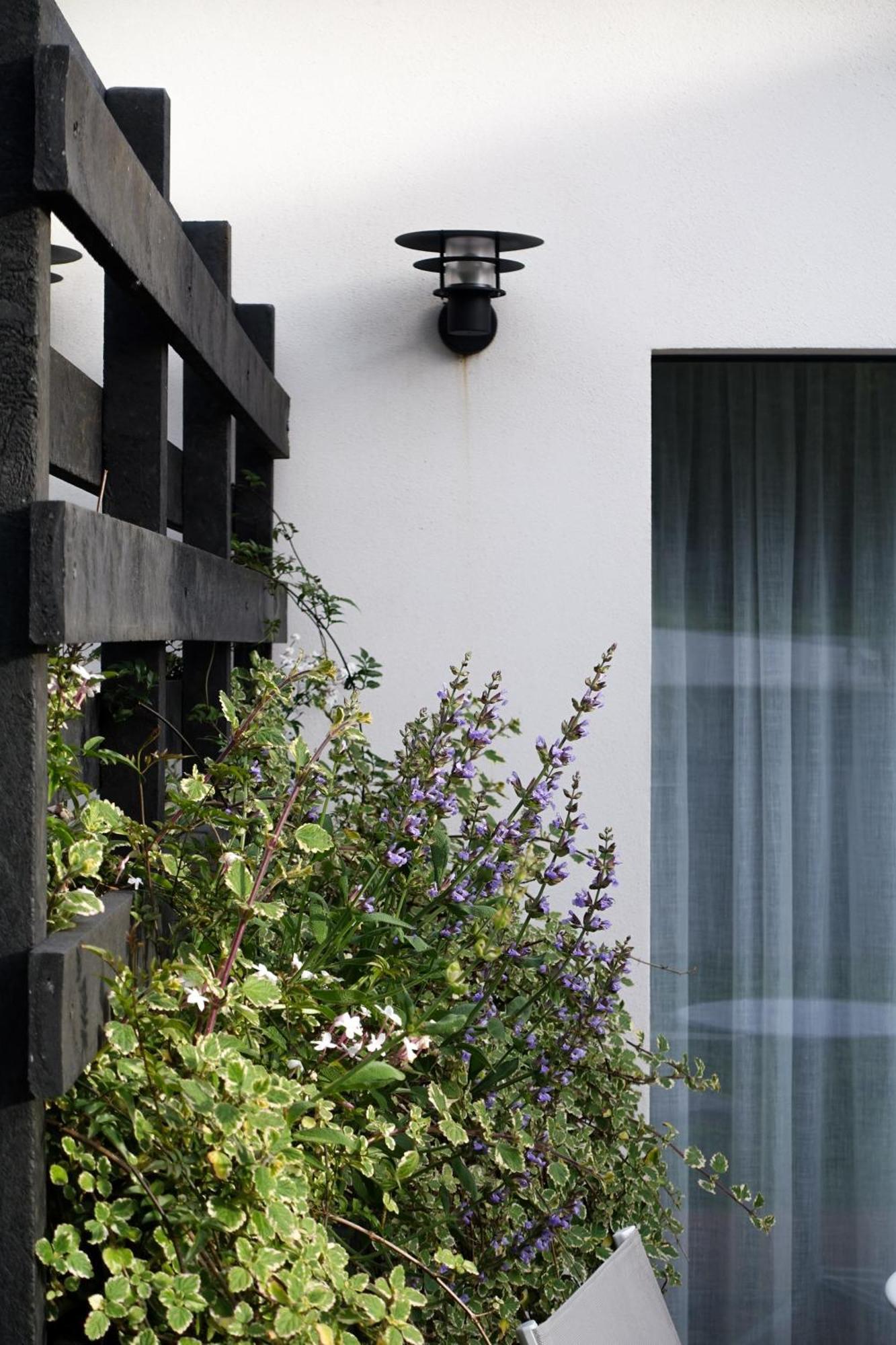 Casa Da Milheira - Agroturismo Oliveira de Azemeis Buitenkant foto